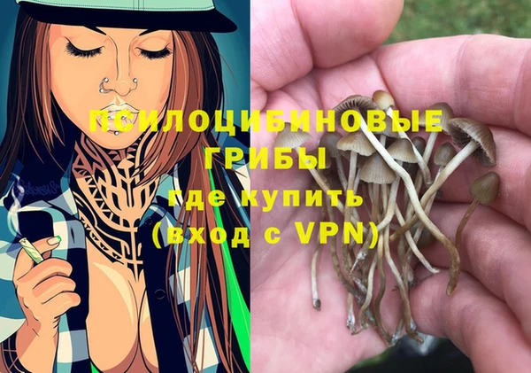 стаф Алексин