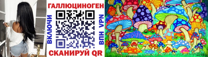 blacksprut ТОР  сколько стоит  Динская  Псилоцибиновые грибы мицелий 